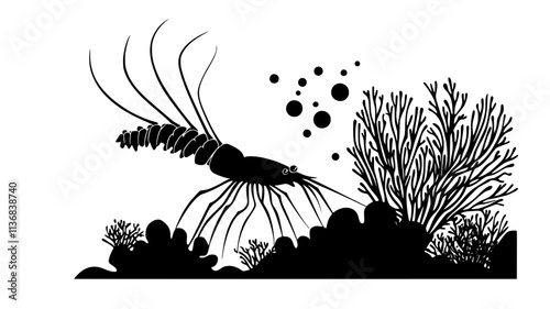 Shrimp feeding near coral reef, gripping surface with legs, Animal Vector Graphic