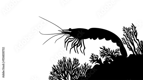 Shrimp swimming near coral reef, legs and antennae visible, Animal Vector Graphic