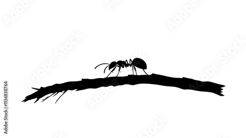 A single ant crawls along the edge of a twig, moving in a direct and focused line, Animal Vector Graphic