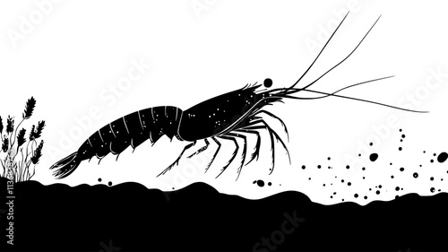Shrimp walking on ocean floor, navigating sandy bottom, Animal Vector Graphic