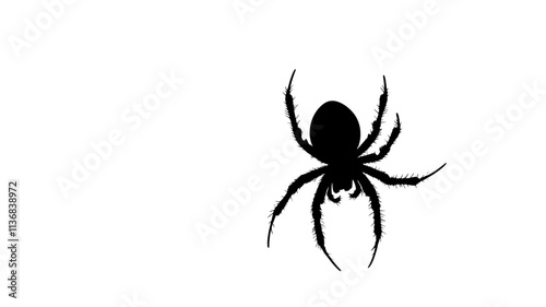 A spider hangs upside down from a silk thread, delicately moving along its web, Animal Vector Graphic