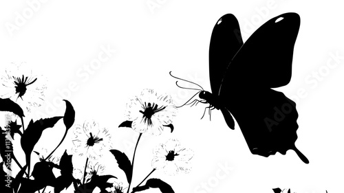The butterfly perches on a flower, gently extending its proboscis to reach the nectar within, Animal Vector Graphic