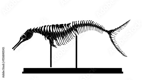 Seahorse skeleton preserved in a museum display, Animal Digital Art
