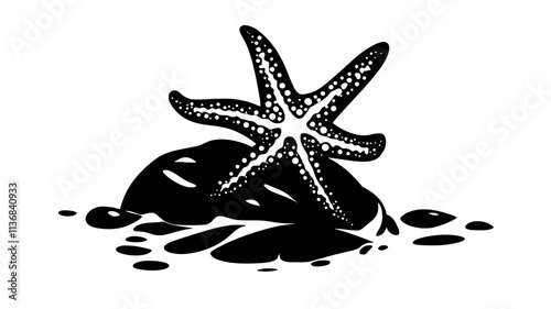 Starfish clinging to a rock in a tide pool with tentacles extended, Animal Digital Art