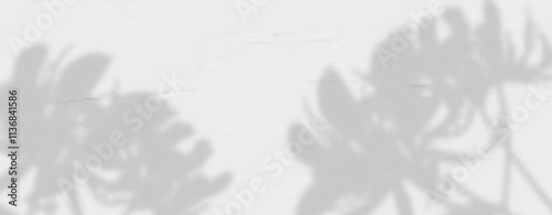 Glare from the sun's rays on the wall. Blurred shadows from leaves and plants in the room. Soft overlay of natural light. Abstract background for product presentation.Natural light layout.