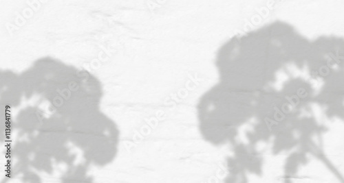 Glare from the sun's rays on the wall. Blurred shadows from leaves and plants in the room. Soft overlay of natural light. Abstract background for product presentation.Natural light layout.