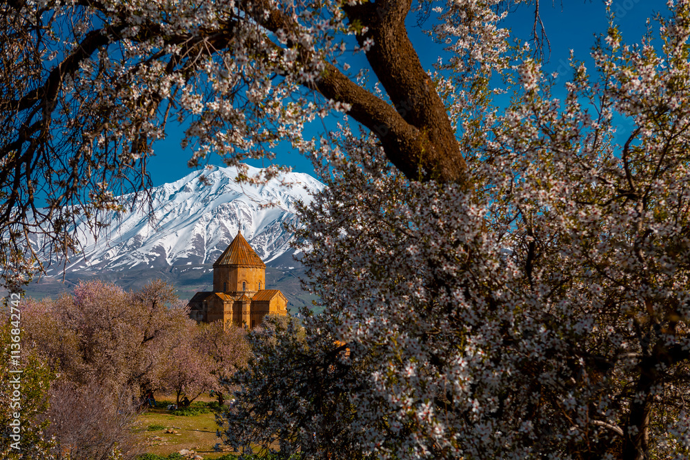 Akdamar Island in Van Lake. The Armenian Cathedral Church of the Holy Cross - Akdamar, Turkey