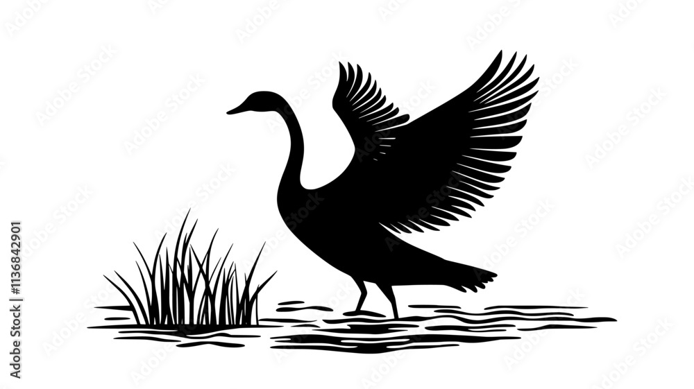 Obraz premium Swan stretching wings wide while standing on the shore, Vectorized Animal Art