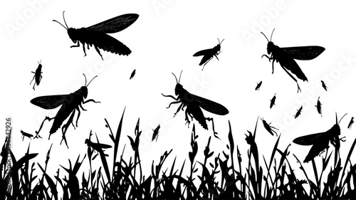 Swarm of grasshoppers feeding on crop field, Vectorized Animal Art