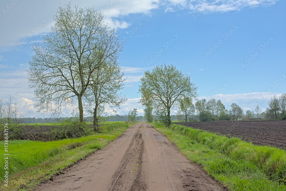 Dirt road along spring farmland in the countryside near Turnhout, Flanders, Belgium Dirt road along spring farmland in the countryside near Turnhout, Flanders, Belgium