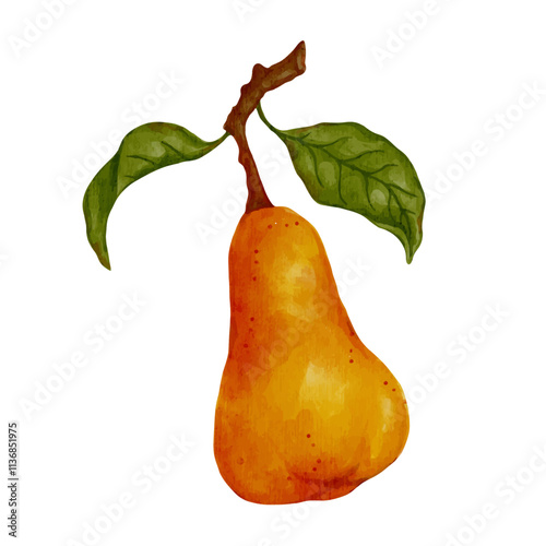 Juicy, ripe pear fruits. Vector graphics.
