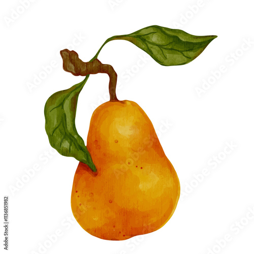 Juicy, ripe pear fruits. Vector graphics.