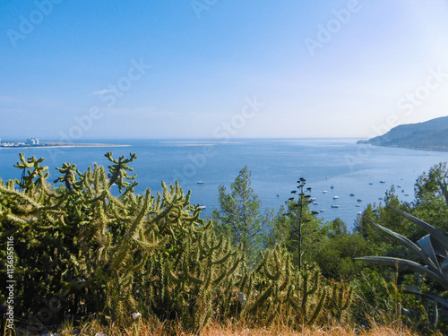 Landscape of the atlantic ocean in Portugal