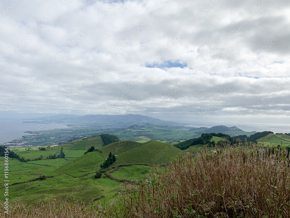 Obraz premium natural park in Azores Island Sao Miguel, Portugal