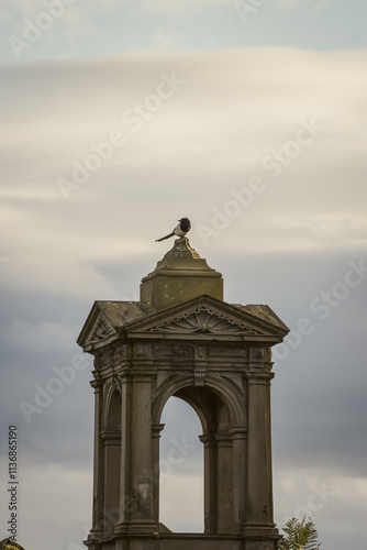 A Day in the Glasgow Necropolis #1