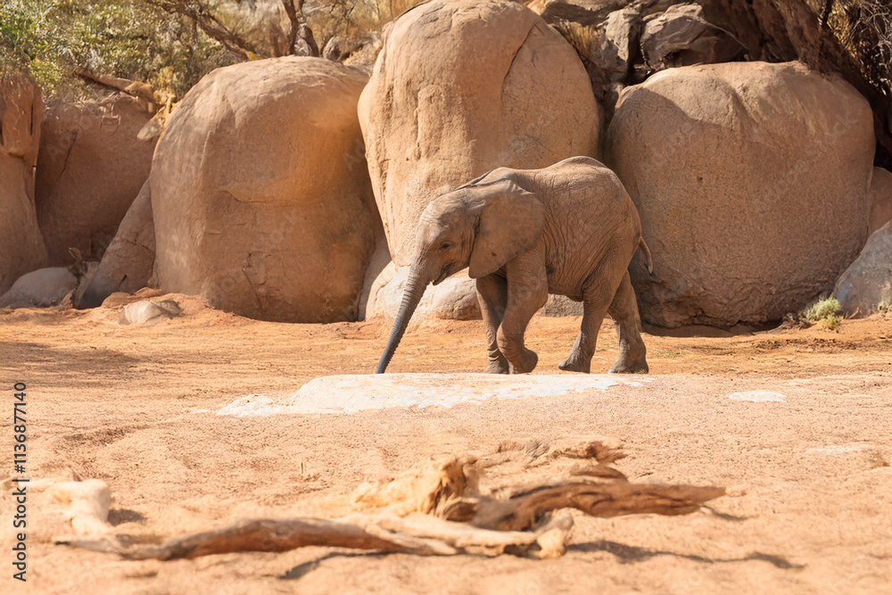 Obraz premium Generated image