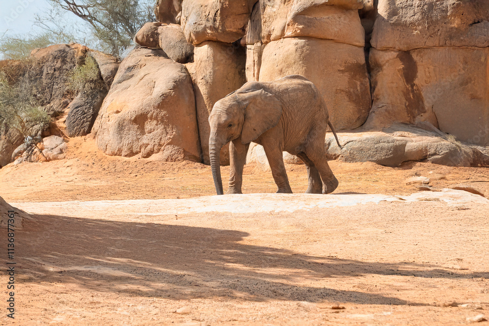 Obraz premium Generated image