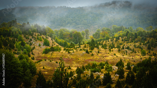 Landscape with Bosnian mountain Prenj