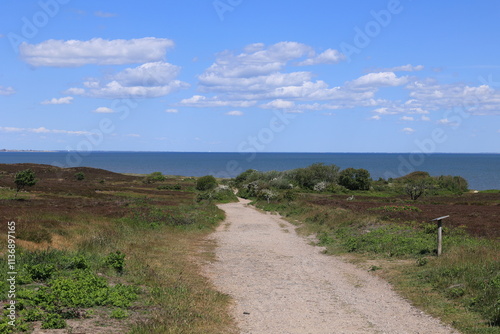 Blick auf die Braderuper Heide auf der Nordseeinsel Sylt photo