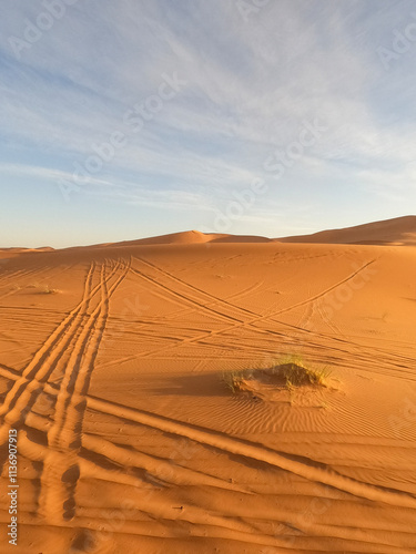 Sahara Desert