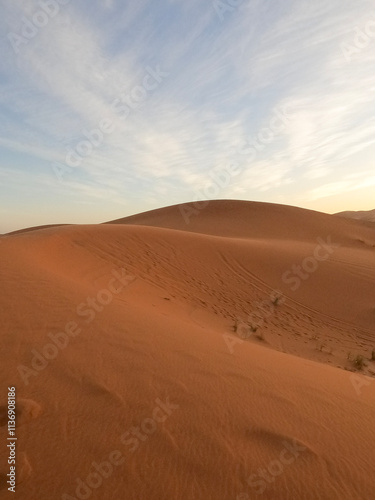 Sahara Desert