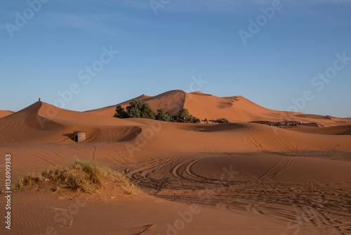 Sahara Desert