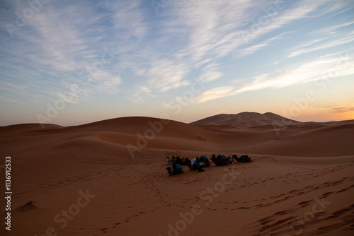 Fototapeta Naklejka Na Ścianę i Meble -  Sahara Desert