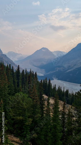 Peyto Lake in Banff National Park, Alberta. Glacier-fed lake with a unique wolf-head shape and vivid turquoise color. In Canadian Rockies, a popular tourist viewpoint along the Icefields Parkway.