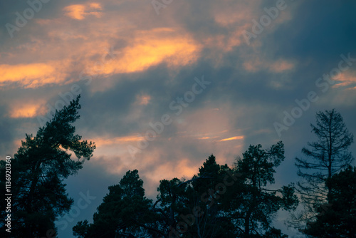 Photography sunset in the forest, nacka,sverige,sweden,mats,stockholm