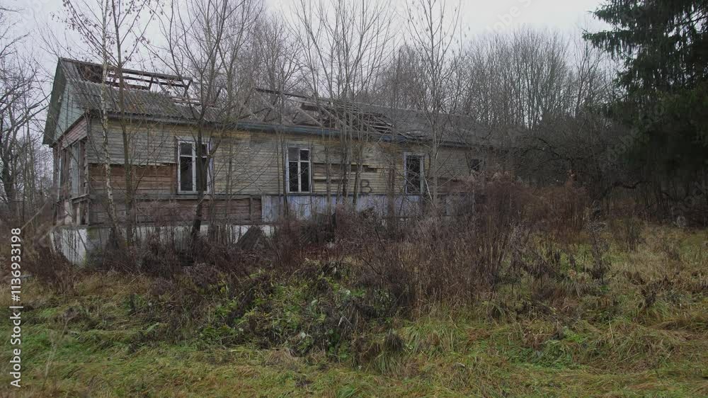 An unsettling view of a dilapidated, abandoned house overtaken by wild plants, showing natures relentless reclaiming An unsettling view of a dilapidated, abandoned house overtaken by wild plants, showing natures relentless reclaiming