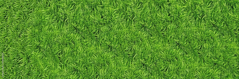 Artificial grass background in lush, vibrant green, turf, outdoor Artificial grass background in lush, vibrant green, turf, outdoor