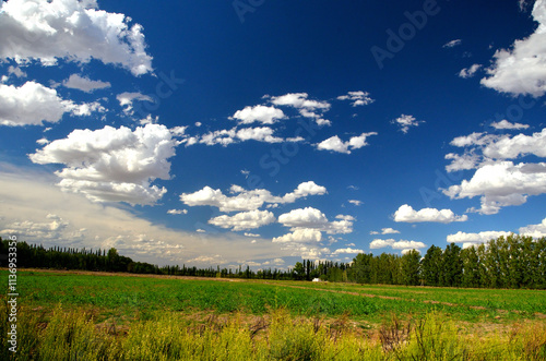 beautiful clouds in a very blur sky over crop fields