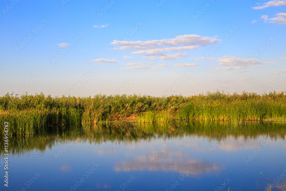 Summer sunny landscape. Blue lake with reeds in the steppe in which white clouds in the sky are reflected Summer sunny landscape. Blue lake with reeds in the steppe in which white clouds in the sky are reflected