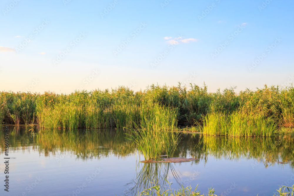 Summer sunny landscape. Blue lake with reeds and blue sky Summer sunny landscape. Blue lake with reeds and blue sky