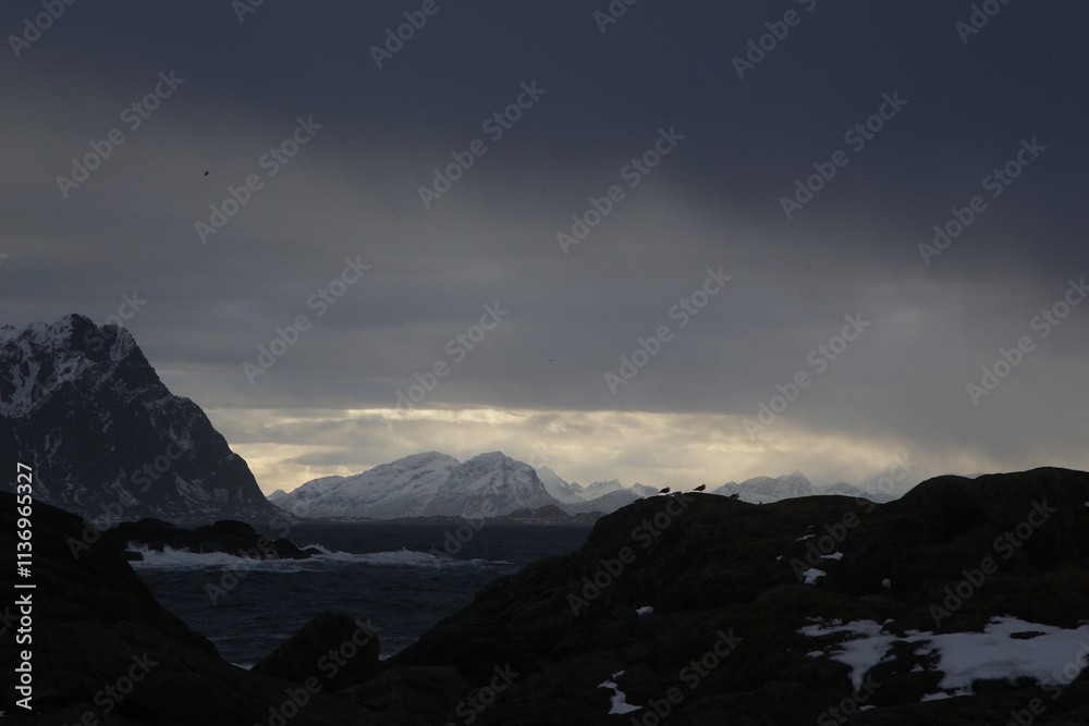 Obraz premium Uccelli su una roccia durante una tempesta a Svolvaer sulle isole Lofoten. Norvegia del nord. 