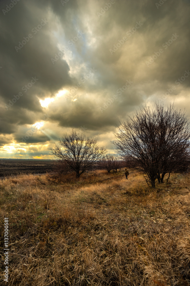 Fototapeta premium Big blue and orange clouds , over the field , sunlights through the clouds in the sky.Beautiful landscape on the field .Agriculture field and the sky.Sunset on the sky withot the sun.Orange sky nature