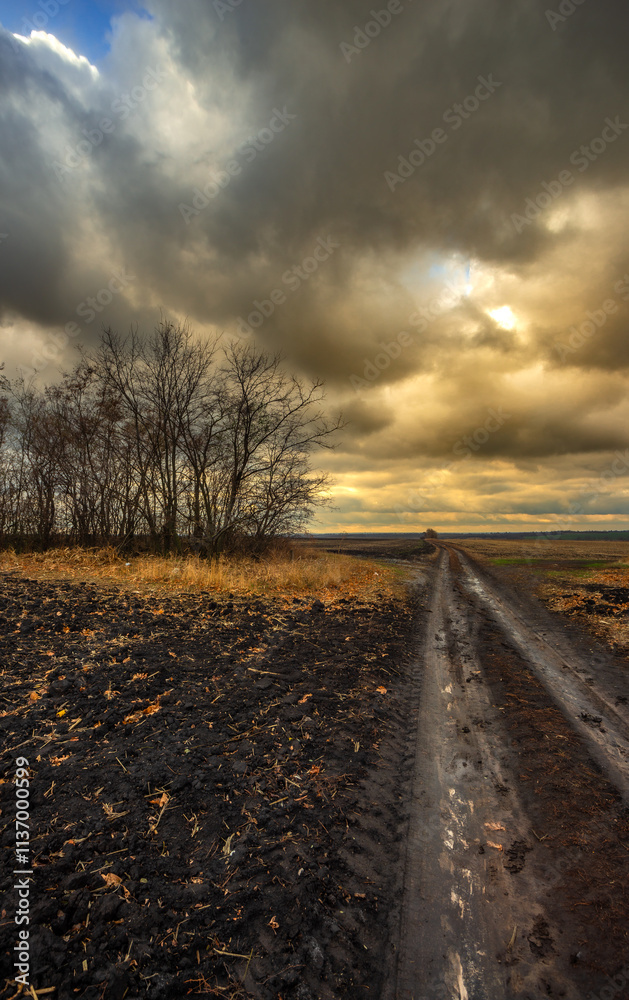 Fototapeta premium Big blue and orange clouds , over the field , sunlights through the clouds in the sky.Beautiful landscape on the field .Agriculture field and the sky.Sunset on the sky withot the sun.Orange sky nature