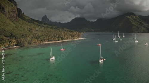 Many sailboats yachts stop in turquoise, shallow water of Opunohu bay, Moorea, French Polynesia, green mountains and palm trees under dramatic cloudy sky. Wild nature paradise, exotic summer travel photo