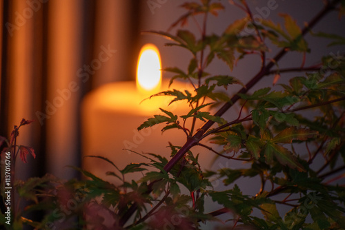 Candle and flame in a garden environment. photo