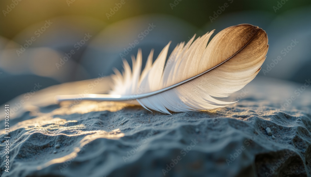 Naklejka premium Delicate Feather on a Stone