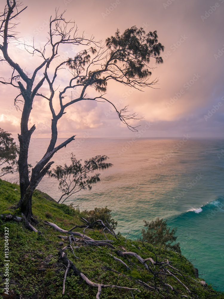 Morning by the ocean vertical orientation Morning by the ocean vertical orientation