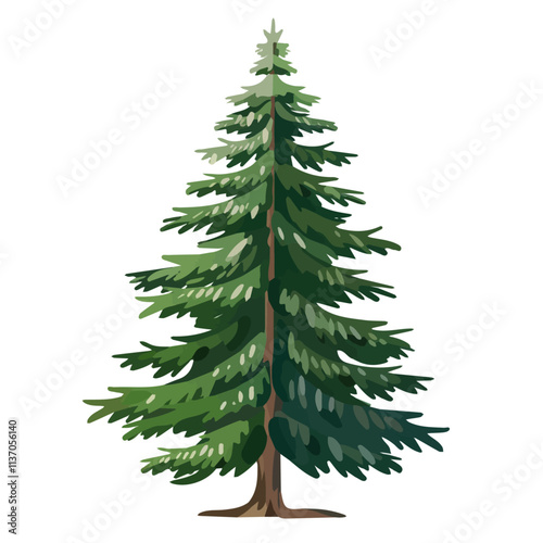 Flat vector Chinese fir tree, isolated on a white background.

