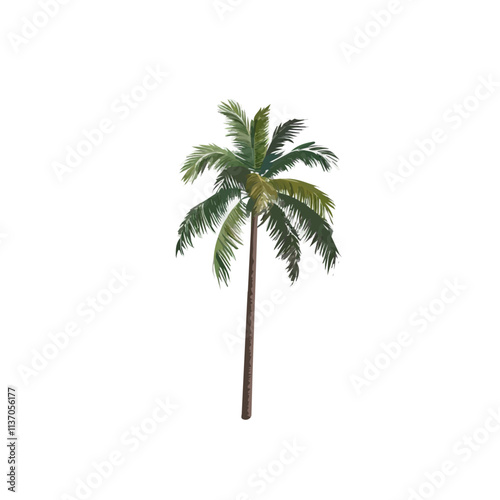 Flat vector coconut tree, isolated on a white background.

