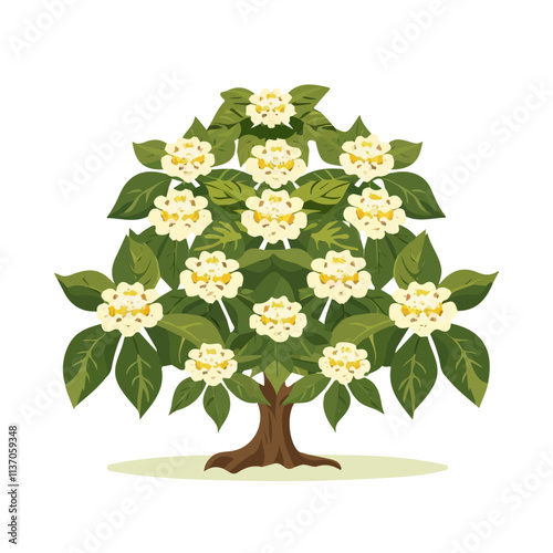 Flat vector horse chestnut tree, isolated on a white background.

