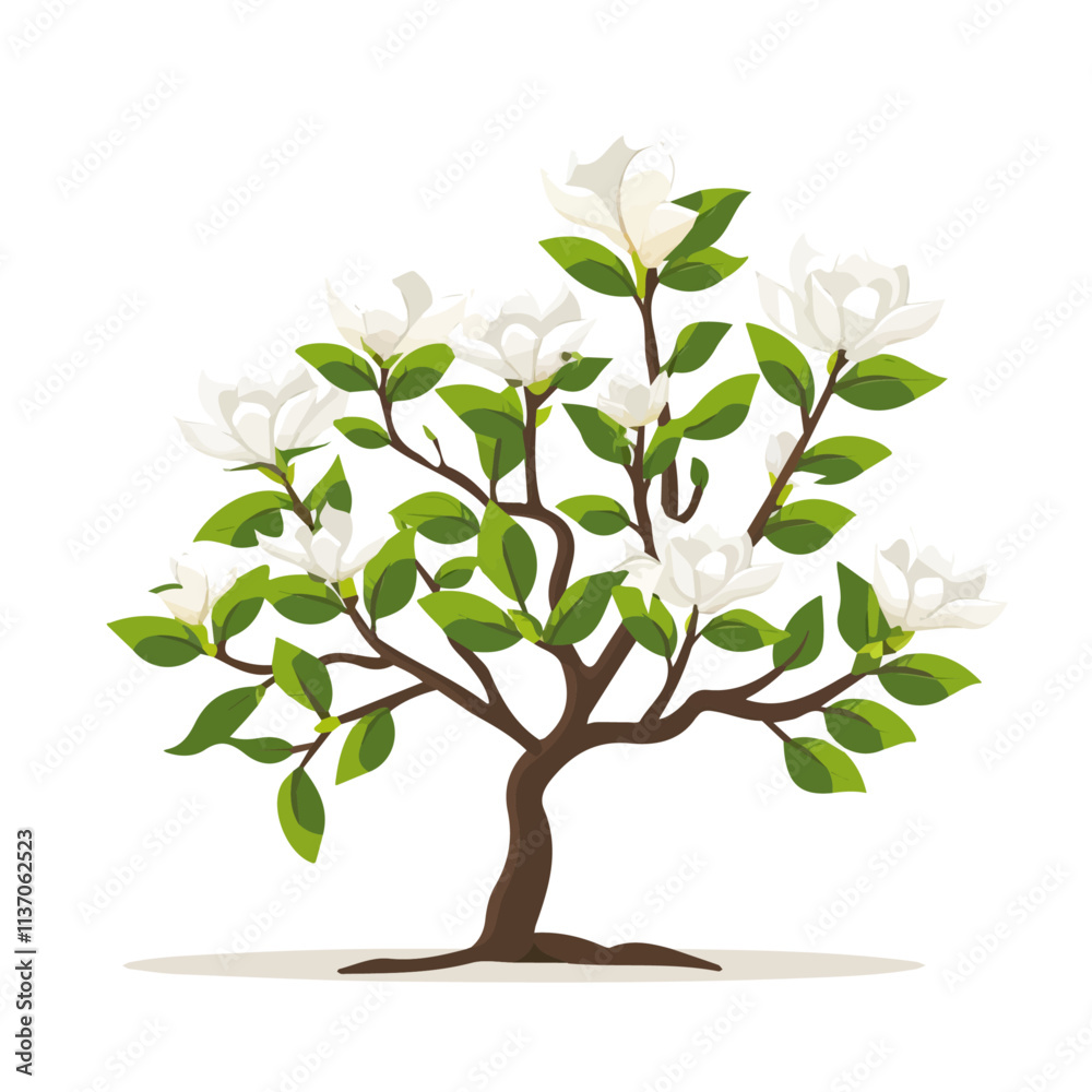 Flat vector magnolia tree, minimalist design, isolated on a white background.
Flat vector magnolia tree, minimalist design, isolated on a white background.