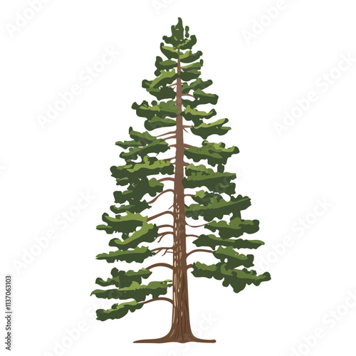 Flat vector ponderosa pine tree, minimalist design, isolated on a white background.

