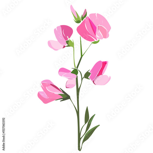 Flat vector sweet pea flower, minimalist design, isolated on a white background.

