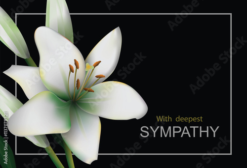 White lily flower with buds mourning bouquet close-up in the black background. Vector conceptual illustration with the inscription With deepest sympathy and place for additional text.
