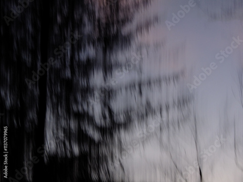 blurry tree background in grey and black