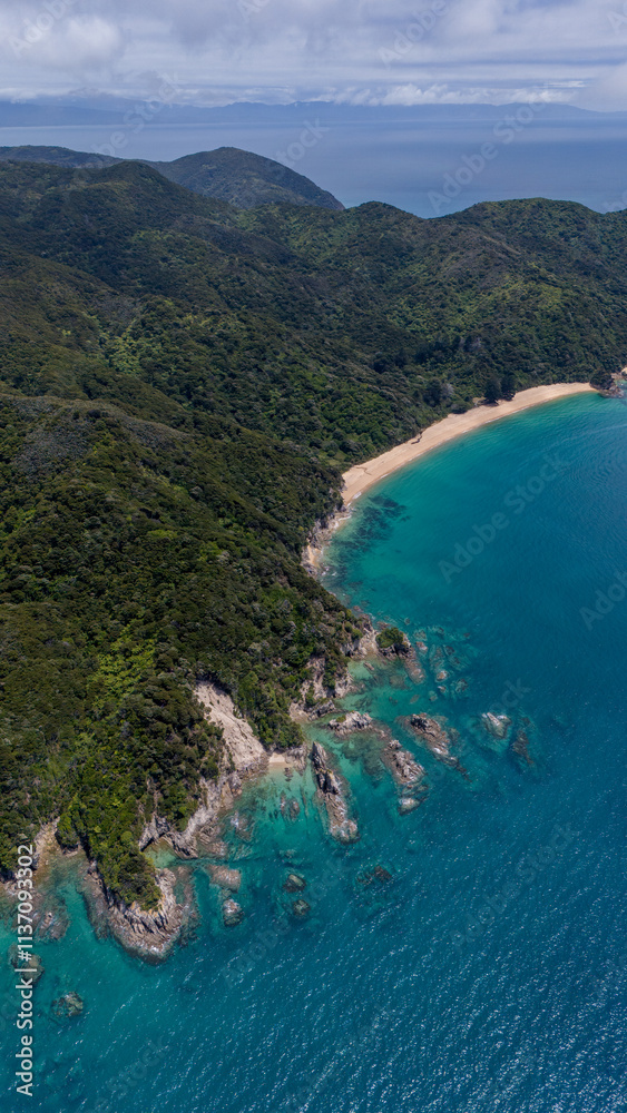 Fototapeta premium drone shot of a beach with trees, rocks and beautiful water
